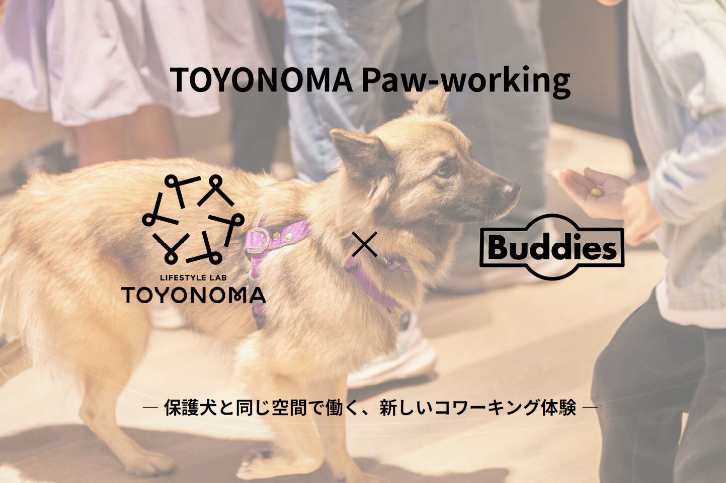 TOYONOMA Paw-working（ポーワーキング）