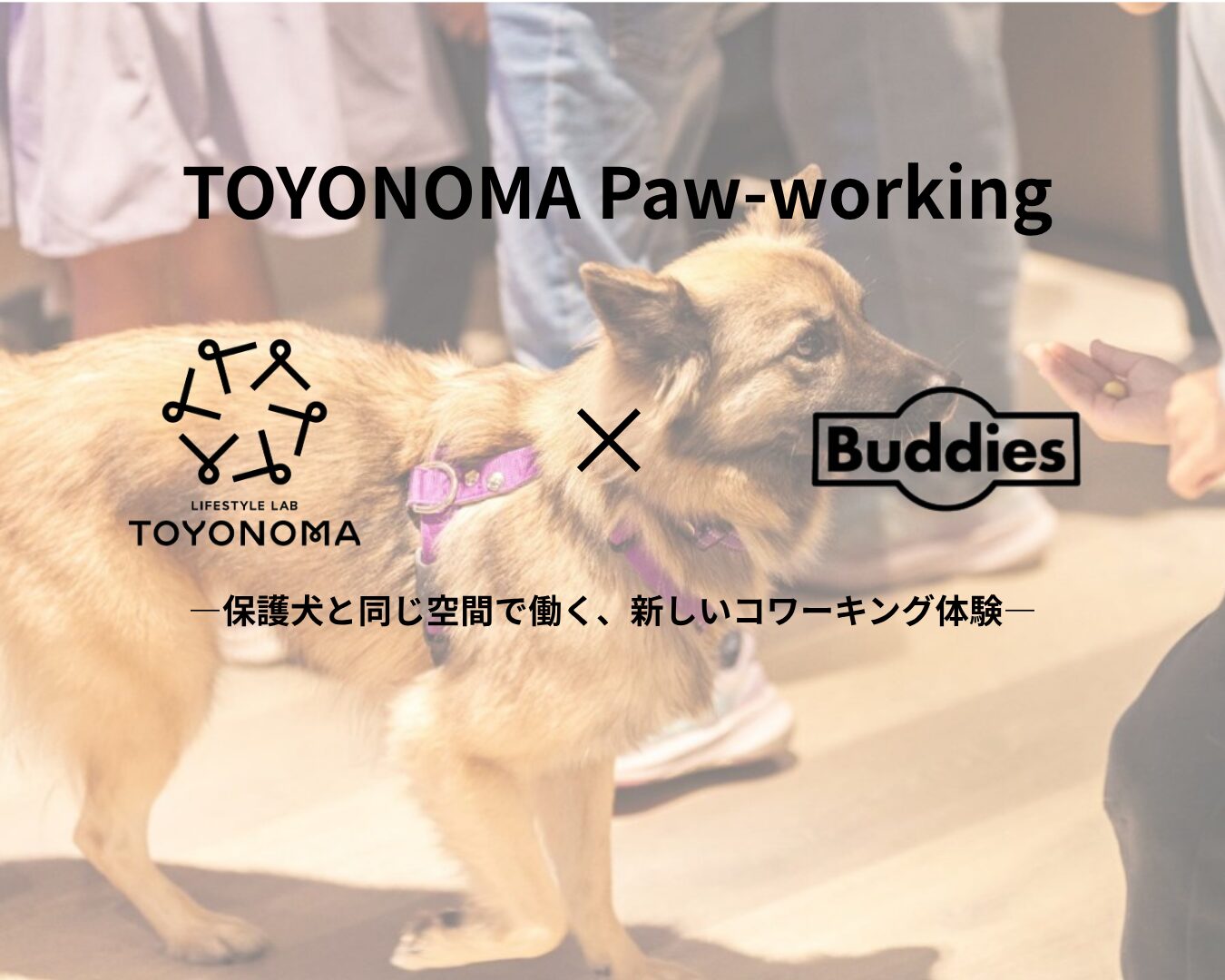 10月開催｜TOYONOMA Paw-working（ポーワーキング）